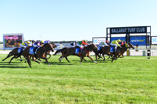 Horse Racing Tips for Ballarat 4/11/24