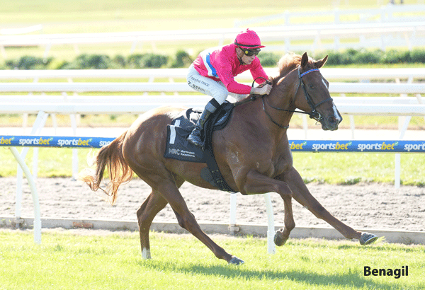 Benedetta Tipped Horse