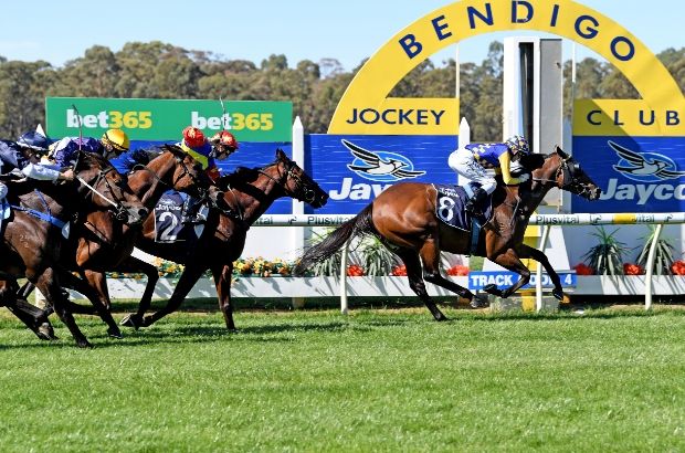 Horse Racing Tips for Bendigo 27/02/21
