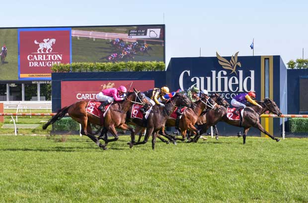 Free Horse Racing Tips For Caulfield 23/9/23