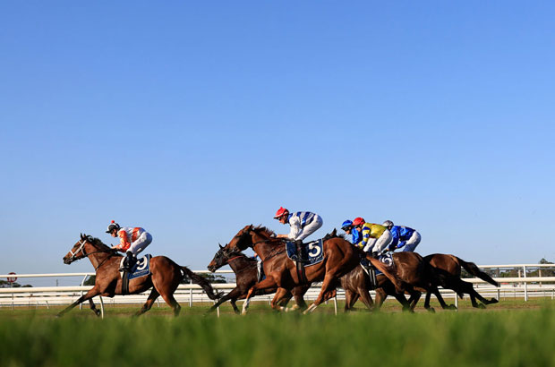 Free Horse Racing Tips and Best Bets for Gawler 17/7/24