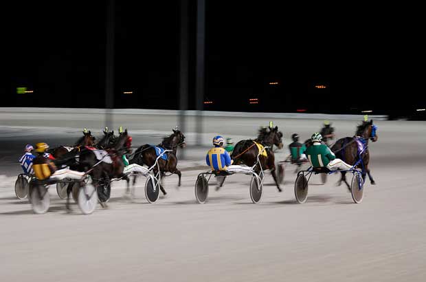 Harness racing tips & Best Bets for Saturday night 07/08/21