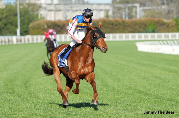 Jimmy The Bear Tipped Horse