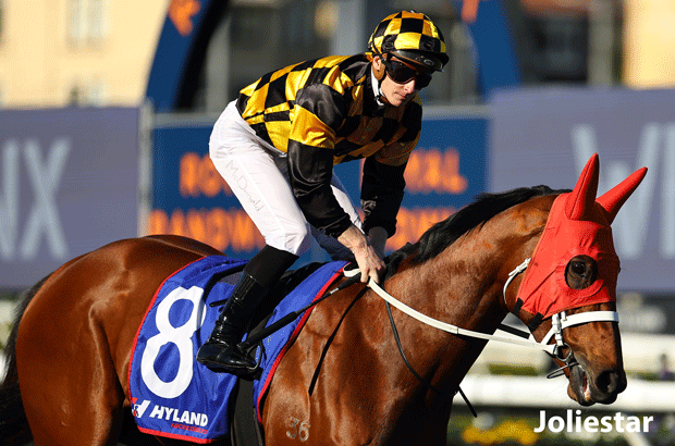 Joliestar Horse to Lay