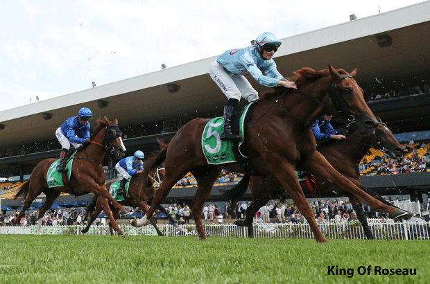 King Of Roseau Tipped Horse