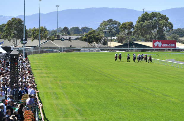 Morphettville Horse Racing Tips
