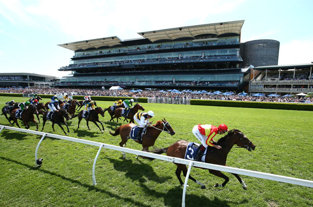 Horse Racing Tips and Best Bets for The Ingham Stakes 2023
