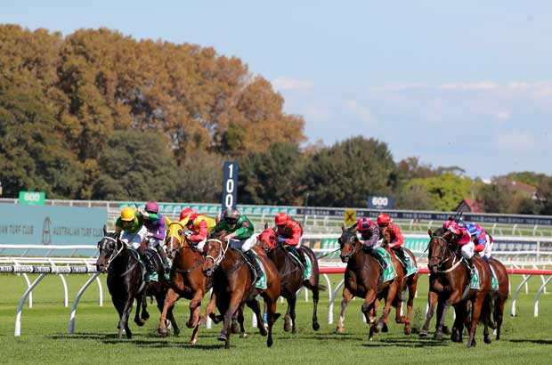 Randwick Feature Racing Tips and Best Bets 19/8/23