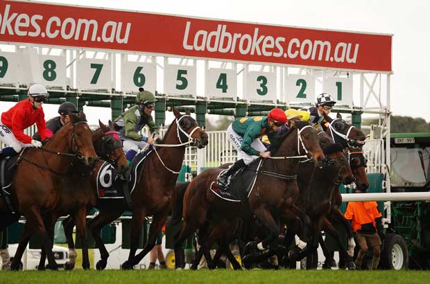 Horse Racing Tips and Best Bets for Sandown 29/11/23