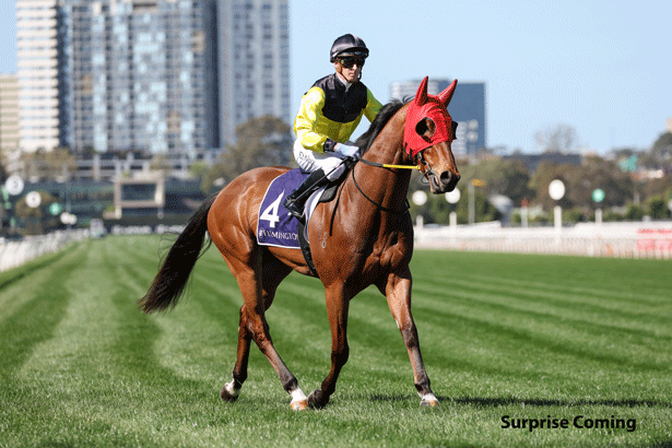 Surprise Coming Tipped Horse