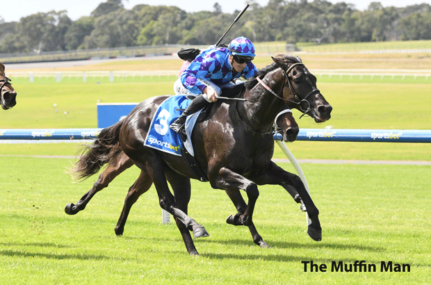 The Muffin Man Tipped Horse