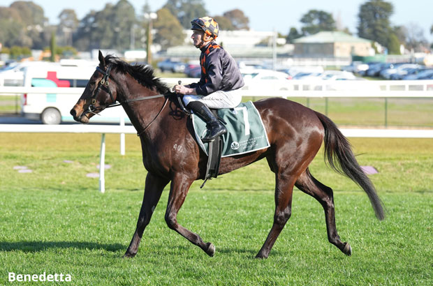 Benedetta Tipped Horse
