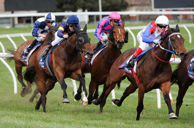 Caulfield Tips for Blue Diamond Stakes 2024