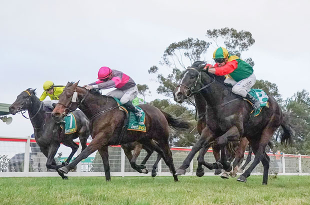 Horse Racing Tips for Tuncurry 8/12/25